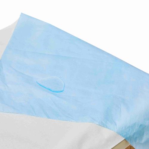 Cina Telijie Disposable Bed Sheet Roll, PP+PE Non-Woven Fabric Multi-Color, Waterproof for Hotel, Home & Travel Produttore