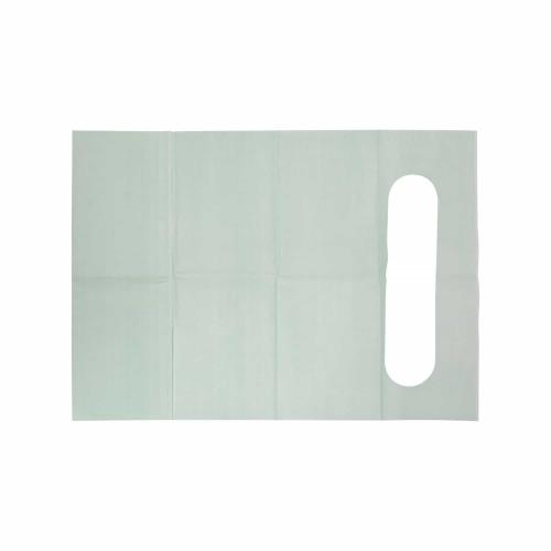 Cina Disposable Baby Bib, Class I Medical Device CE/ISO13485 Certified, Paper + PE Film 24.5*34.5cm with 5.5cm Pocket for Children Produttore